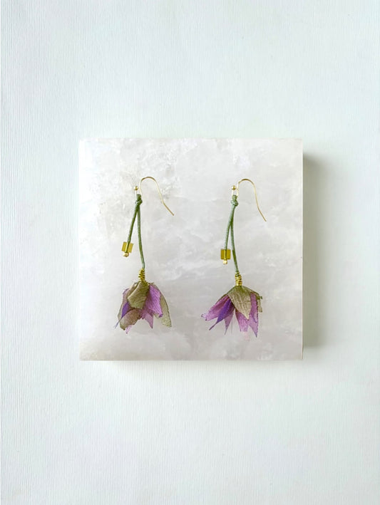 Aretes Hada